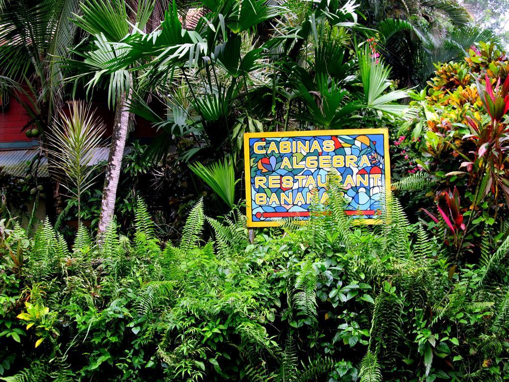 Cabinas Algebra Cahuita Exterior foto