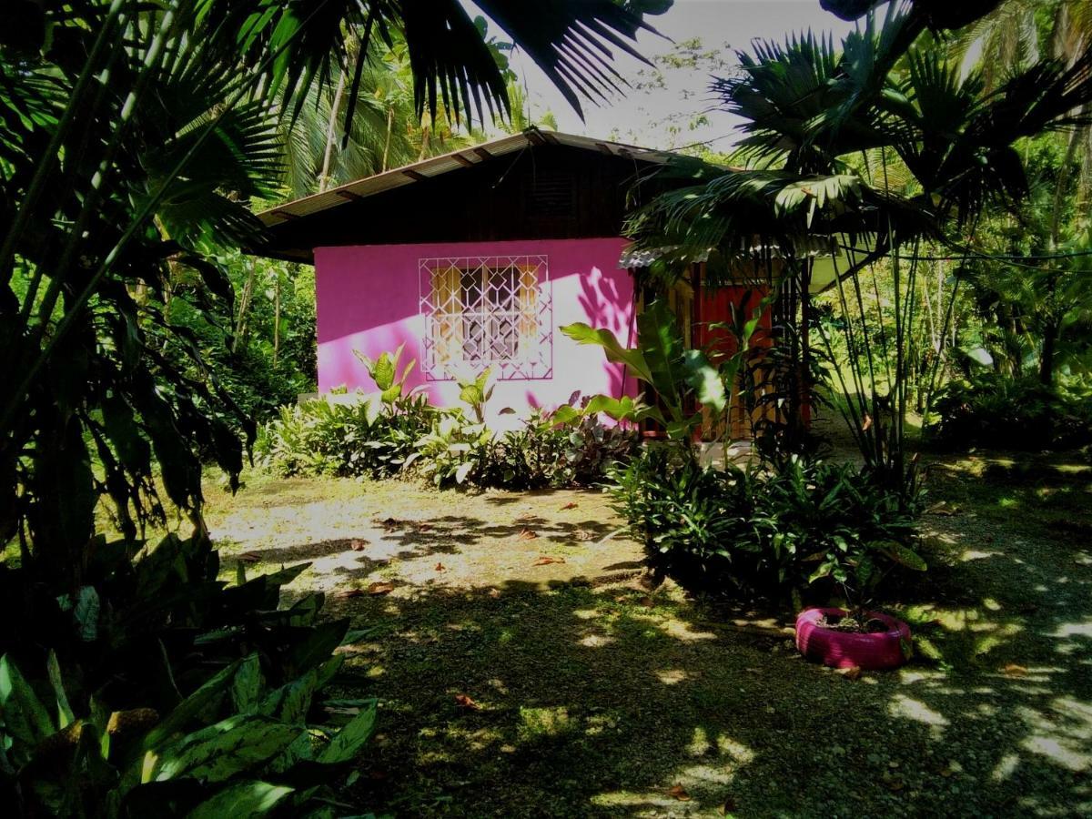 Cabinas Algebra Cahuita Exterior foto
