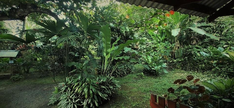 Cabinas Algebra Cahuita Exterior foto