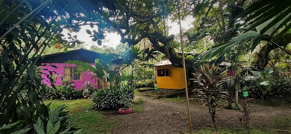 Cabinas Algebra Cahuita Exterior foto
